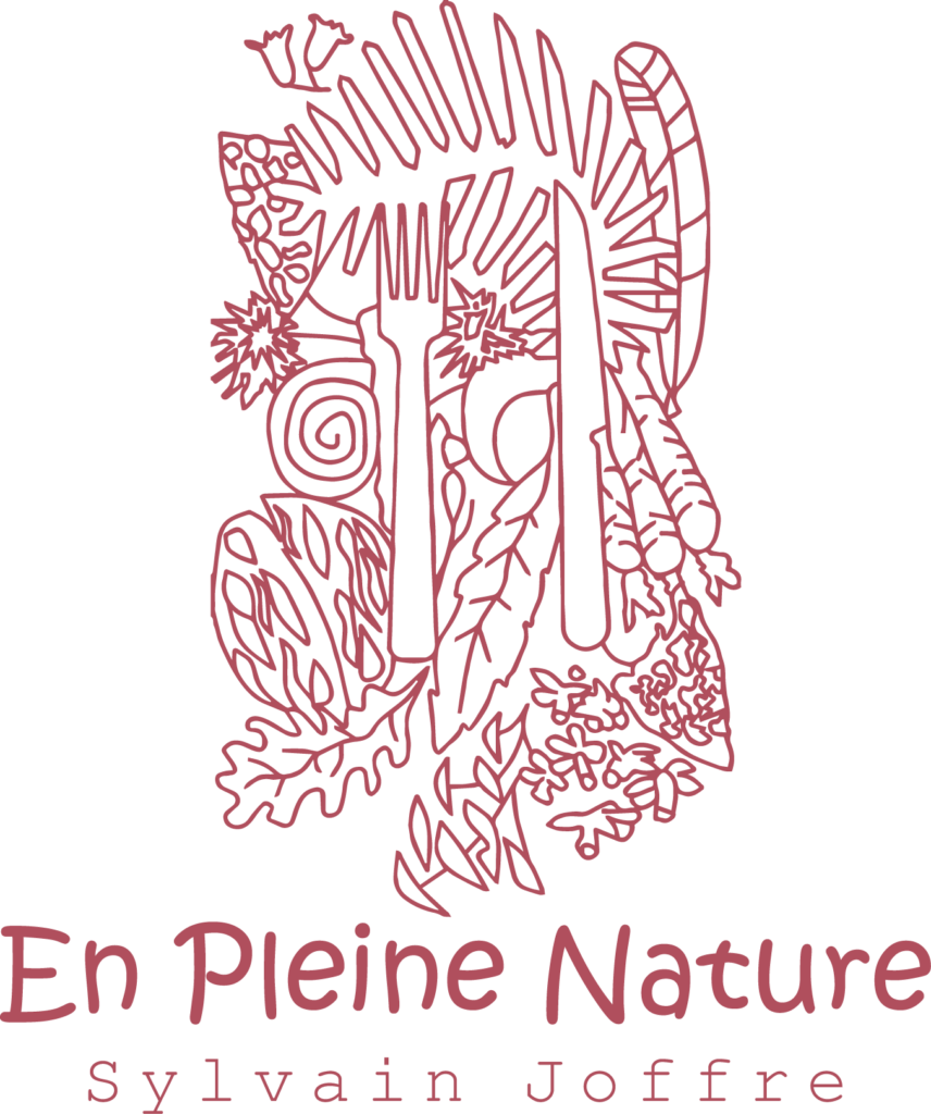 Logo En pleine nature - Sylvain JOFFRE